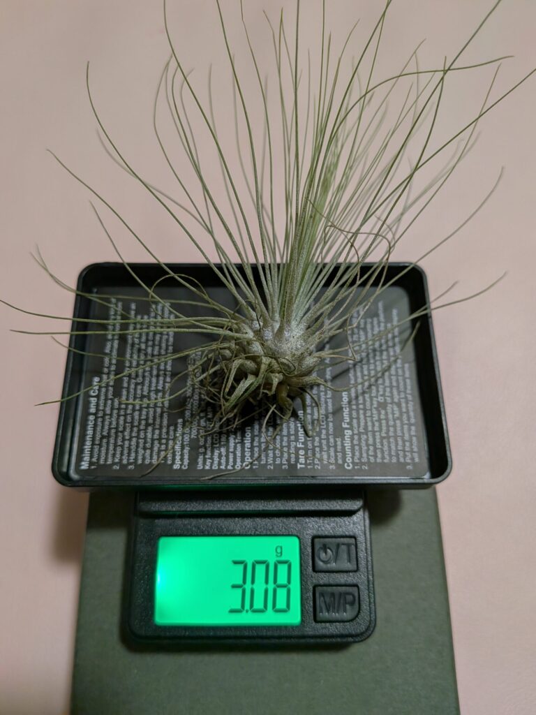 ダイソーで購入した１００均株のフックシー（購入時の重量）