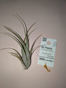 ダイソーで購入したフレクスオーサの画像